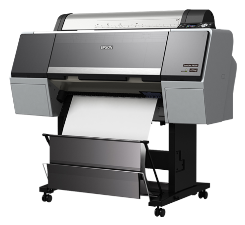 Accel Epson P6000